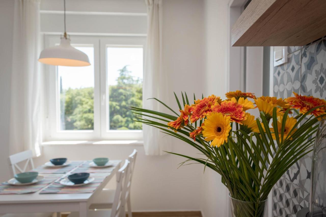 Nona Mileva Apartment Pula Zewnętrze zdjęcie