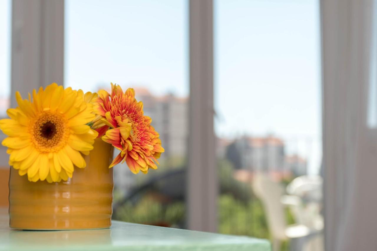 Nona Mileva Apartment Pula Zewnętrze zdjęcie